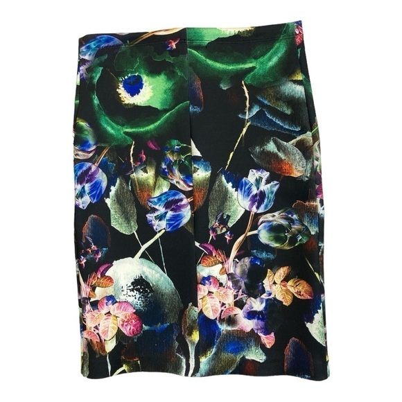 Clover Canyon Night Matador Stripe, Floral Pencil Skirt - Picture 4 of 10